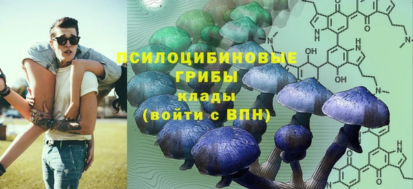 кокаин колумбия Инсар