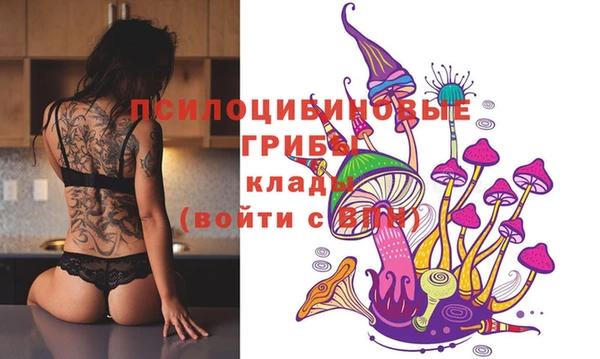 кокаин колумбия Инсар