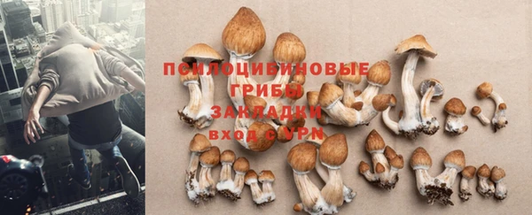 кокаин колумбия Инсар